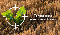 Post harvest field with a target on a weed 