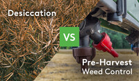 Desiccation-Vs-Pre-Harvest-Weed-Control.jpg