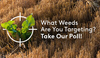 What weeds are you targeting? Take our Poll!